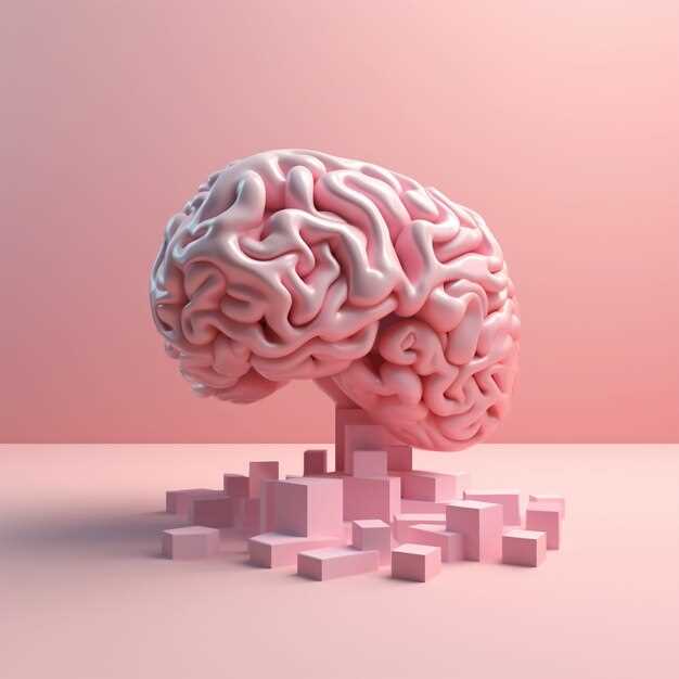 Какая часть мозга принимает решения ключевые зоны и их роль